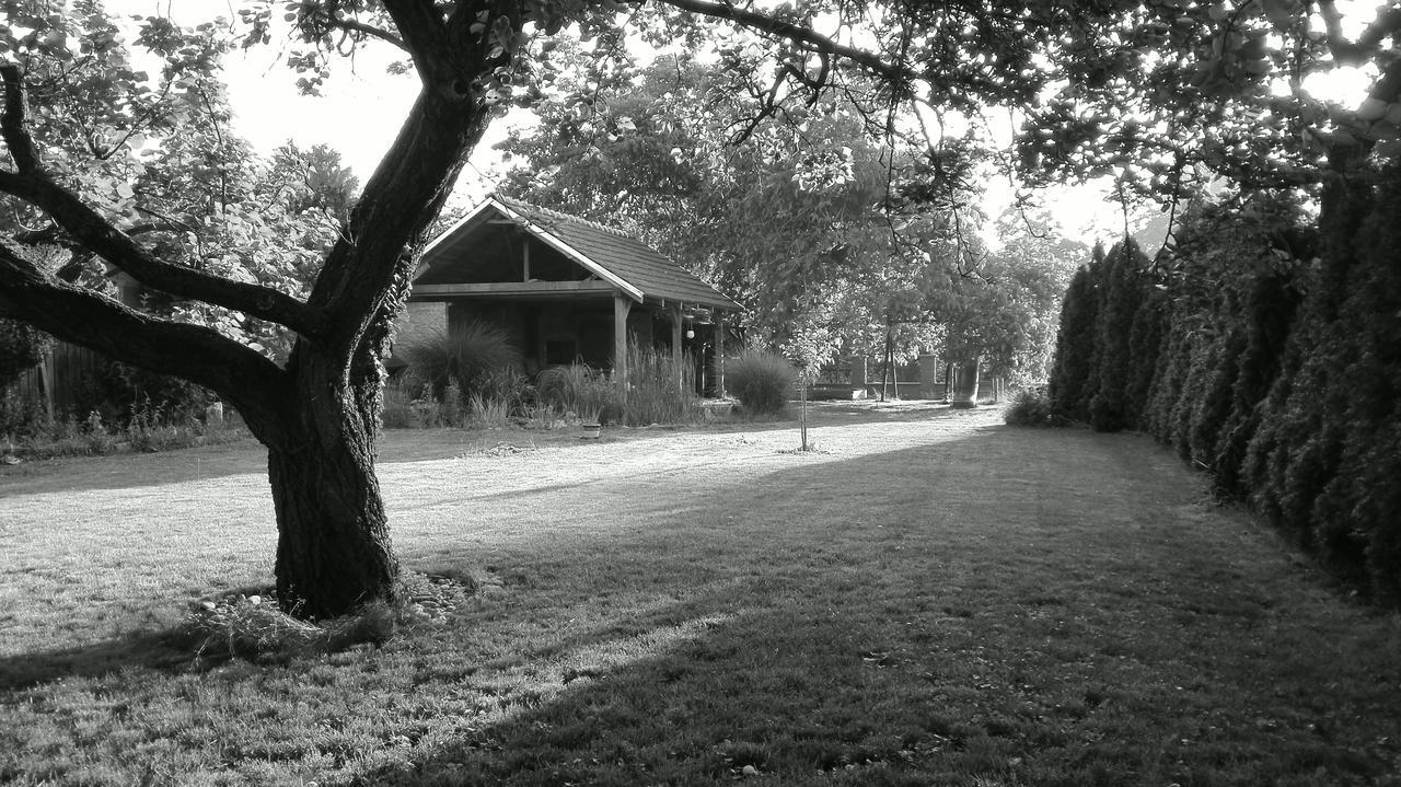 Penzion U Reky Vojkovice (Brno-Country) Exterior foto